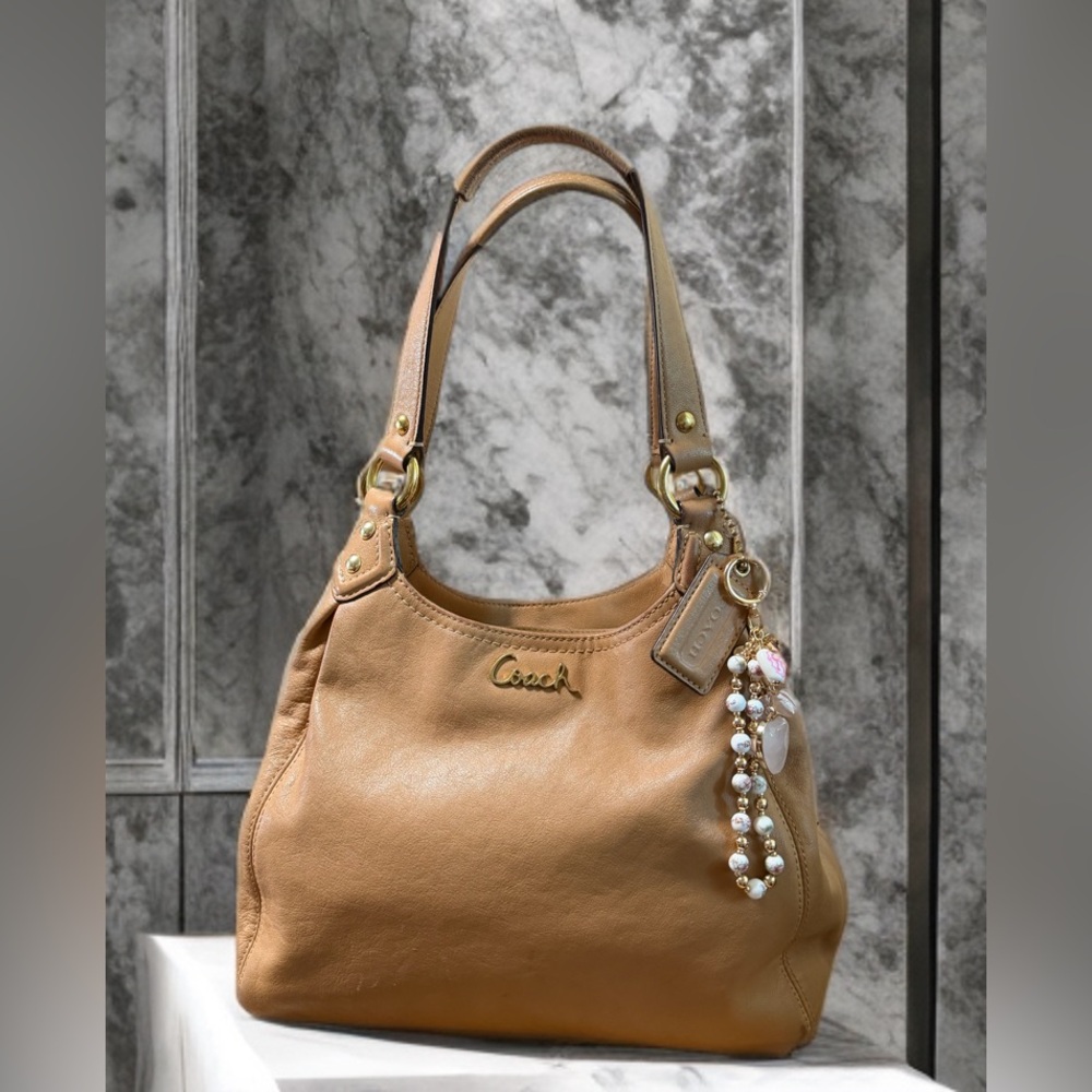 Coach Ashley hobo Leather Shoulder Bag